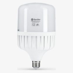 Đèn LED trụ TR120N1(40W) Rạng Đông