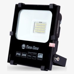 Đèn LED chiếu pha CP06 30W 6500K Rạng Đông
