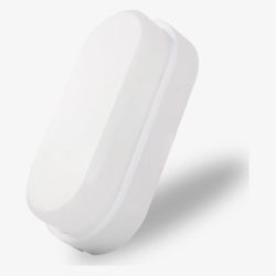 Đèn LED ốp tường LN12-90×195/10W (6500k) Rạng Đông