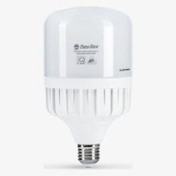 Đèn LED trụ TR100N1(30W) Rạng Đông