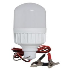 Đèn LED bulb kẹp TR70N1 (12-24VDC/12W) Rạng Đông