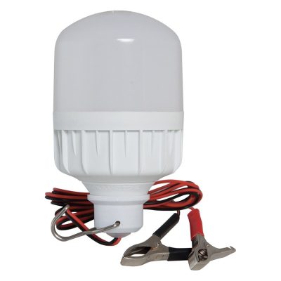 Đèn LED bulb kẹp TR70N1 (12-24VDC/12W) Rạng Đông