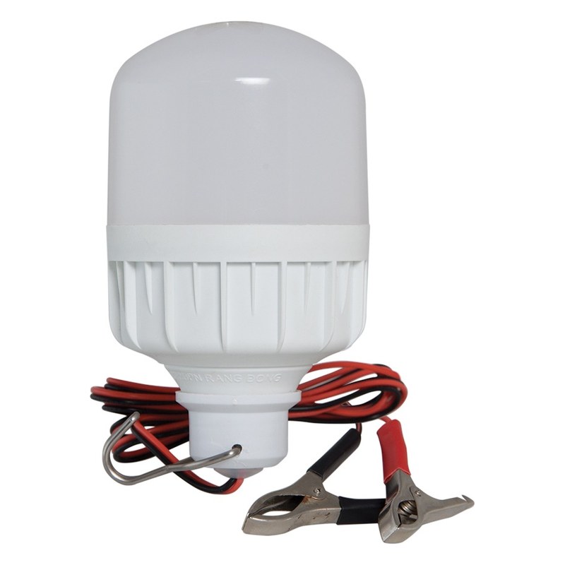 Đèn LED bulb kẹp TR70N1 (12-24VDC/12W) Rạng Đông