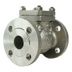 Van 1 chiều nối bích inox SS304 DN20 JIS10K