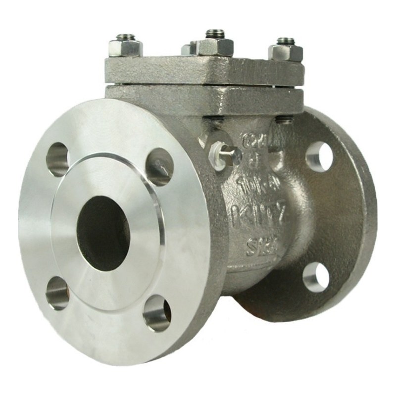 Van 1 chiều nối bích inox SS304 DN20 JIS10K