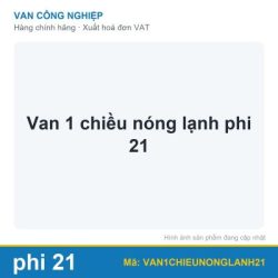 Van 1 chiều nóng lạnh phi 21
