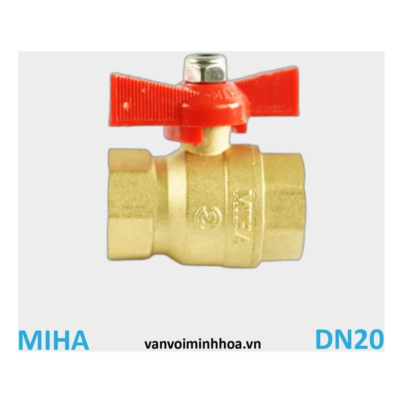 Van bi đồng DN20 ITALY
