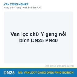 Van lọc chữ Y gang nối bích DN25 PN40