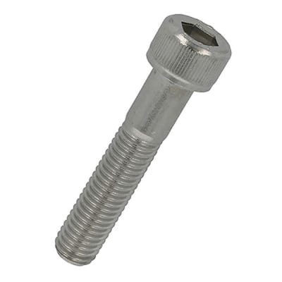 Ảnh minh hoạ bl chim tru inox