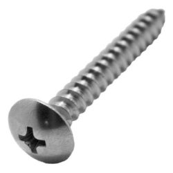 Vít gỗ đầu dù inox 304 M5x15