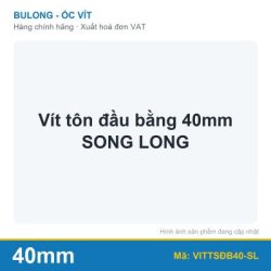 Vít tôn đầu bằng 40mm SONG LONG