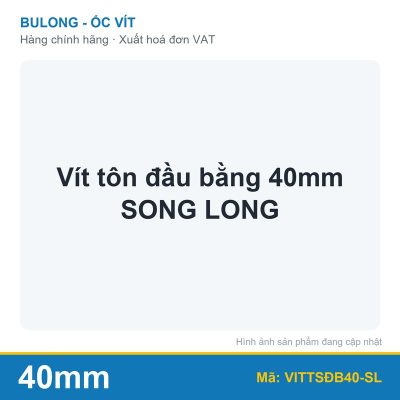Vít tôn đầu bằng 40mm SONG LONG