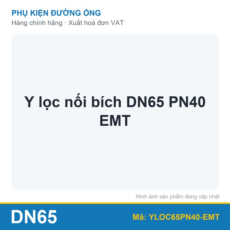 Y lọc nối bích DN65 PN40 EMT